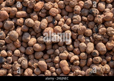 Expanded clay aggregate texture background in sunlight.  Stock Photo