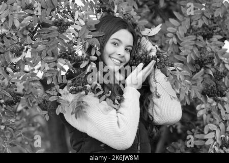 teen girl with autumn rowan leaves hold berry. happy child at rowanberry tree red branch. Stock Photo