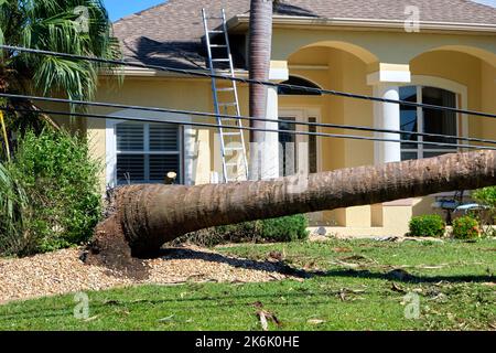 Fallen down big tree on power and communication lines after hurricane Ian in Florida. Consequences of natural disaster Stock Photo