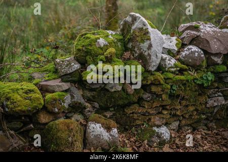 Ireland's humid climate provides the typical fairytale moss-covered walls. Stock Photo