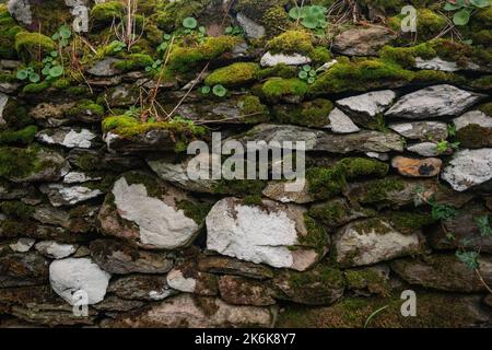 Ireland's humid climate provides the typical fairytale moss-covered walls. Stock Photo