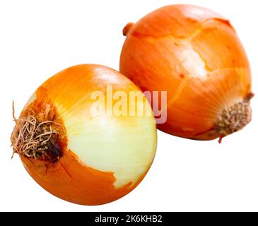 Fresh onions lying on white background Stock Photo