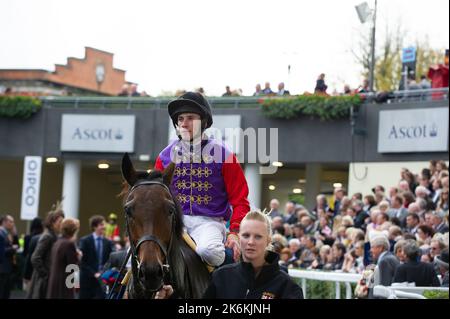 Ascot, Berkshire, UK. 20th October, 2012. Her Majesty the Queen's horse Carlton House ridden by jockey Ryan Moore came fourth in the Queen Elizabeth II Stakes. Trainer Sir Michael Stoute Stock Photo