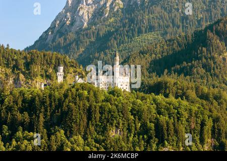 Neuschwanstein Castle in mountain forest, Germany. Scenic view of old German palace in Bavarian Alps, World landmark. Alpine landscape in summer. Them Stock Photo