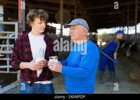 Portrait of an elderly farmer with his grandson holding bottle of milk and glass of milk in their hands on background of cows in stall Stock Photo