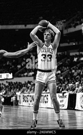 Larry Bird competing for the NBA Boston Celtics during 1981-82 season Stock Photo