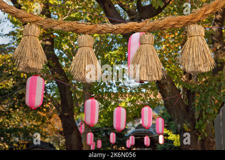 Shimenawa rice straw rope for purification Torii gate Mitake Jinja ...