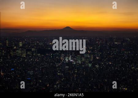 Sunset view to the Southwest and Mt Fuji at Tokyo Skytree, Oshiage, Tokyo, Japan Stock Photo
