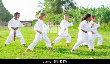 Tweenagers of different nationalities learning karate moves on green lawn Stock Photo