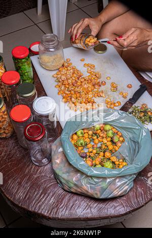 Small yellow peppers fruits being prepared to make preserves Stock Photo