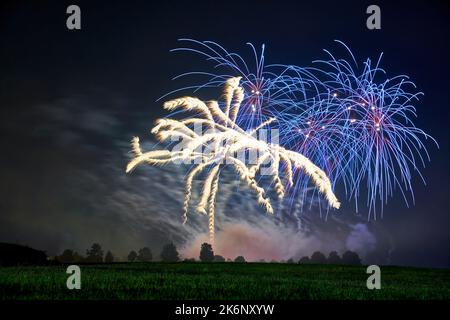 Fireworks with blue and yellow stars against dark night sky. Green meadow and tree line. Ideal for Sylvester and New Year's Day. Germany, Ostfildern. Stock Photo