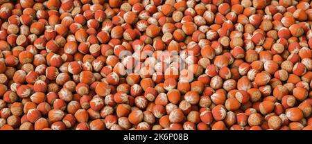 Hazelnut nut health organic brown filbert autumn background concept. Food background Stock Photo