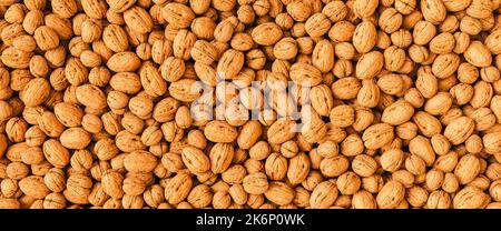 fresh Walnuts as a background, banner size Stock Photo
