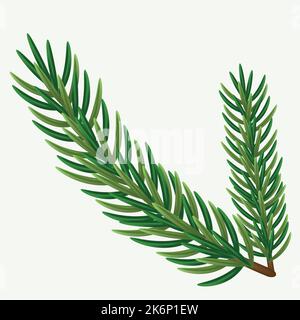Green spruce branch in a beautiful style on a white background. white natural background. Isolated vector illustration. Green tree border. Stock Vector