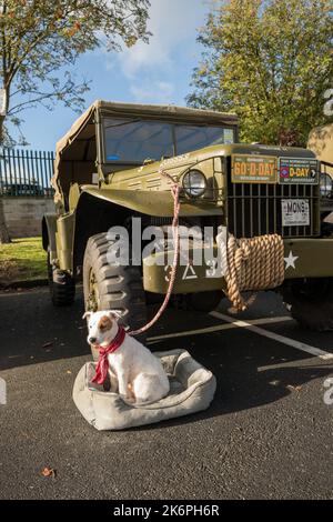 The Annual Bolsover 40's fest, Bolsover, England, UK. 15th Oct, 2022. The Bolsover 40's fest organised by the Bolsover Rotary club for this years poppy appeal. This annual event in the Derbyshire town is full of exciting displays of authentic military vehicles and equipment, as well as stalls, re-enactors, live music and includes the 82nd Airborne 505th infantry regiment taking over the town. Credit: Alan Beastall/Alamy Live News Stock Photo