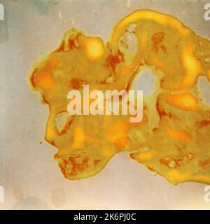 Abstract beige and yellow lumen print texture background. An image created on photographic paper. Stock Photo