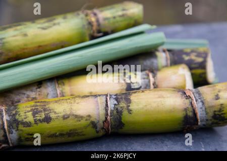 Close-up shot of Fresh slice sugarcane Stock Photo