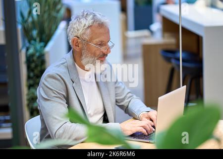 Busy mature professional older senior man using laptop working in office. Stock Photo