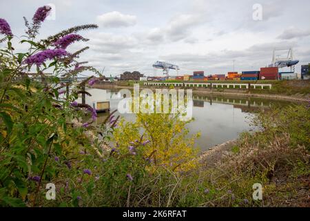Krefeld  - View from Inner-Harbour with Storages and Container ,North Rhine Westphalia, Germany, 22.07.2022 Stock Photo