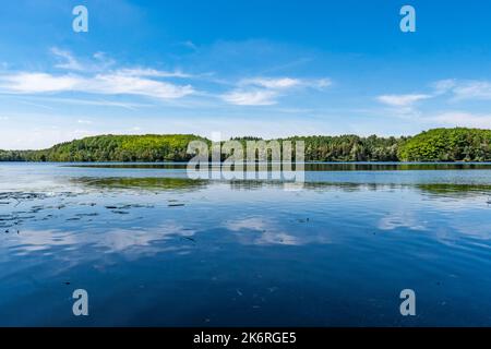 The Untersee or lower lake of the ville chain of lakes in the summer near cologne bruehl in North Rhine-Westphalia, germany Stock Photo