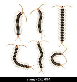 Black Cartoon Scolopendra Isolated on White Background. Giant Sentipede Animal Icon Stock Vector
