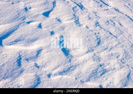Background of fresh snow, blue shadows Stock Photo