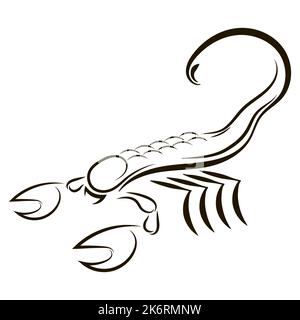 Scorpion illustration from horoscope isolated on white background. Poisonous Animal Icon Stock Photo