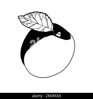 Black and white Apricot with one  leaf.Best graphic resources illustration. vector graphic design for icons and symbols and logo designing Stock Vector