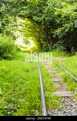 The railroad tracks and overgrown with grass. Part of bygone history. Abandoned railway track. Light at the end of railways Stock Photo