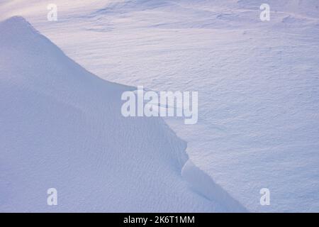 Background of fresh snow, blue shadows Stock Photo