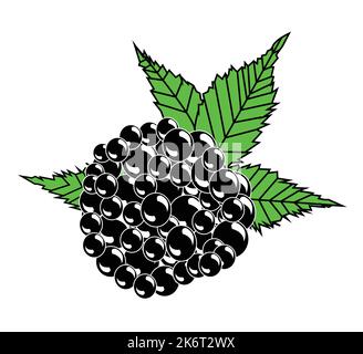 Colorful berry design.Best graphic resources illustration. vector graphic design for icons and symbols and logo designing and stationery Stock Vector