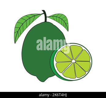 Colorful Lime fruit vector design. Best graphic resources illustration. vector graphic design for icons and symbols and logo designing and stationery Stock Vector