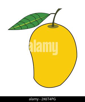 Colorful mango vector design. Best graphic resources illustration. vector graphic design for icons and symbols and logo designing and stationery Stock Vector