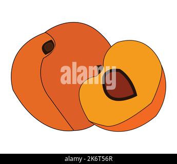Colorful peach vector design. Best graphic resources illustration. vector graphic design for icons and symbols and logo designing and stationery Stock Vector