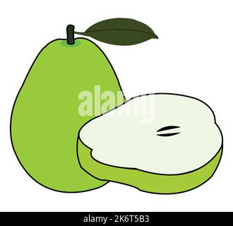 Colorful Pears Vector design. Best graphic resources illustration. vector graphic design for icons and symbols and logo designing and stationery Stock Vector