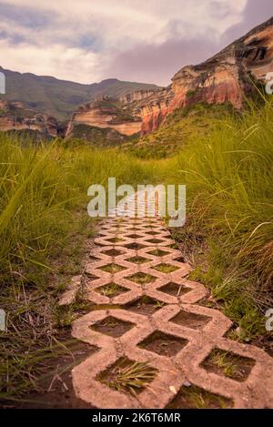 A concrete path through the grass on the Mushroom Rock hiking trail in the Golden Gate Highlands National Park (a nature reserve near the popular town Stock Photo