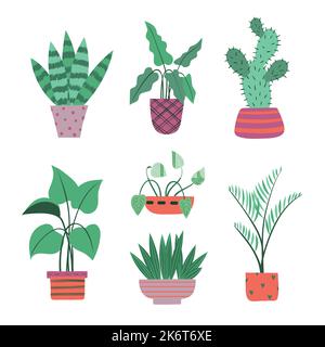 Set of plants in pots isolated on white background. Vector illustration Stock Vector