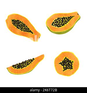 Set of watercolor papaya fruit. Vector illustration of slices isolated on white. Stock Vector