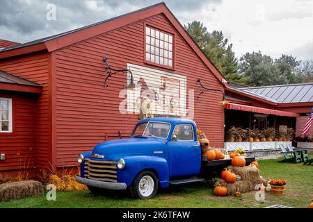 Weston, VT - USA - Oct. 7, 2022 Horizontal display of pumpkins, flowers, gourds and straw on a classic blue American pickup parked along the red woode Stock Photo