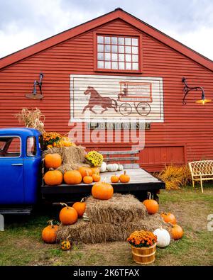 Weston, VT - USA - Oct. 7, 2022 Vertical display of pumpkins, flowers, gourds and straw on a classic blue American pickup parked along the red wooden Stock Photo