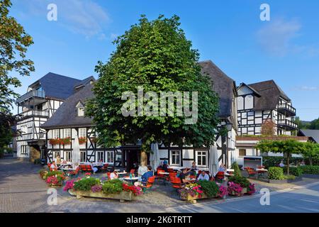 Guests enjoy dinner in the outdoor seating area under the chestnut tree (Castanea sativa), sweet chestnut in front of Landhotel Gasthof Schuette Stock Photo