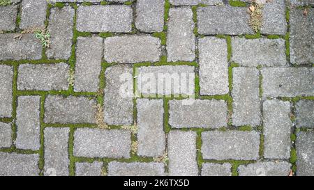paving block texture with mossy gaps as background Stock Photo