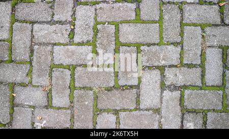 paving block texture with mossy gaps as background Stock Photo