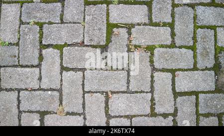 paving block texture with mossy gaps as background Stock Photo