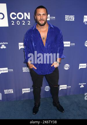 New York, USA. 14th Oct, 2022. attending Andy's Legends Ball Red Carpet at BravoCon held at Manhattan Center on October 14, 2022 in New York City, NY ©Steven Bergman/AFF-USA.COM Credit: AFF/Alamy Live News Stock Photo