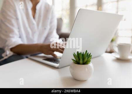 Woman working using laptop seated at table at home Stock Photo