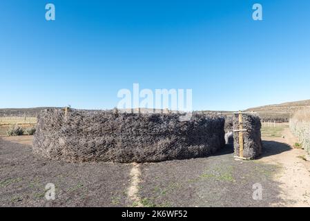 SUTHERLAND, SOUTH AFRICA - SEP 3, 2022: Boma Vega at Sterland Caravan Park in Sutherland in the Northern Cape Province Stock Photo