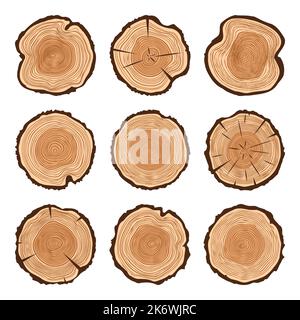 Round tree trunk cuts with cracks, sawn pine or oak slices, lumber. Saw cut timber, wood. Brown wooden texture with tree rings. Hand drawn sketch Stock Vector