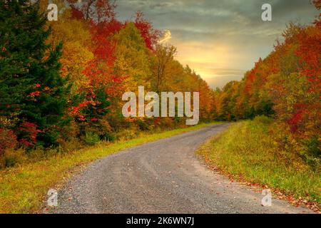 A rural road running through an autumn forest in Pennsylvania's Pocono Mountains Stock Photo