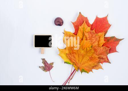 bouquet of bright fallen maple leaves and a black board for text. Greeting or invitation blank card, Autumn sale concept Stock Photo